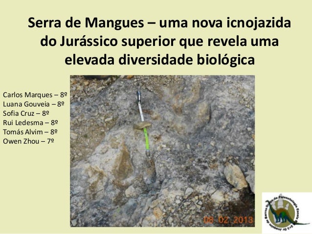 Serra de Mangues – uma nova icnojazida
do Jurássico superior que revela uma
elevada diversidade biológica
Carlos Marques –...