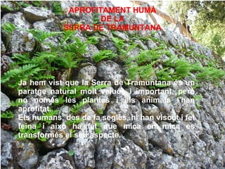 APROFITAMENT HUMÀ DE LA SERRA DE TRAMUNTANA Ja hem vist que la Serra de Tramuntana és un paratge natural molt valuós i important, però no només les plantes i els animals l'han aprofitat. Els humans, des de fa segles, hi han viscut i fet feina i això ha fet que mica en mica es transformés el seu aspecte. 