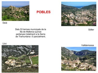 Deià Lluc Sóller Valldemossa Dels 53 termes municipals de la illa de Mallorca quinze pertanyen totalment a la Serra de Tramuntana i 5 parcialment. POBLES 