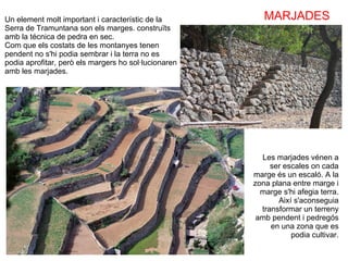 Marges per al cultiu. Un element molt important i característic de la Serra de Tramuntana son els marges. construïts amb la técnica de pedra en sec. Com que els costats de les montanyes tenen pendent no s'hi podia sembrar i la terra no es podia aprofitar, però els margers ho sol·lucionaren amb les marjades. Les marjades vénen a ser escales on cada marge és un escaló. A la zona plana entre marge i marge s'hi afegia terra. Així s'aconseguia transformar un terreny amb pendent i pedregós en una zona que es podia cultivar. MARJADES 
