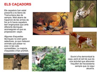 ELS CAÇADORS Els caçadors han estat presents a la Serra de Tramuntana des de sempre. Molt abans de l'aparició de les armes de foc ja hi havia caçadors ben enginyosos que amb diferents tècniques aconseguien el que es proposaven: caçar. Algunes d'aquestes tècniques no eren gaire selectives, ja que mataven animals que potser no eren ni tan sols comestibles. La majoria d'aquestes s'han prohibit. Sovint s'ha demonitzat la caça, però el cert és que és una activitat que afavoreix l'equilibri de l'ecosistema sempre que no sigui abusiva. 