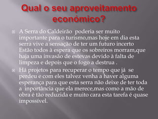  A Serra do Caldeirão poderia ser muito
importante para o turismo,mas hoje em dia esta
serra vive a sensação de ter um futuro incerto
Estão todos à espera que os sobreiros morram,que
haja uma invasão de estevas devido à falta de
limpeza e depois que o fogo a destrua .
 Há projetos para recuperar o tempo que já se
perdeu e com eles talvez venha a haver alguma
esperança para que esta serra não deixe de ter toda
a inportância que ela merece,mas como a mão de
obra é tão reduzida e muito cara esta tarefa é quase
impossível.
 
