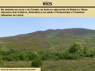RÍOS
Na vertente sur nace o río Cávado, na leste as cabeceiras do Búbal ou Vilaza
(Asureira, San Cristovo, Alvarellos) e na oeste o Faramontaos e Trasmiras
(afluentes do Limia)
Fontes do Faramontaos ao pé do Coto Farelo
 