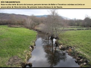 RÍO FARAMONTAOS
Nace na aba norte da serra do Larouco, percorre terreos de Baltar e Trasmiras e xúntase ao Limia un
pouco antes de Xinzo de Limia. No primeiro tramo chámase río da Rousía.
 