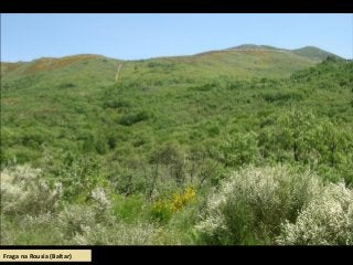 Fraga na Rousía (Baltar)
 
