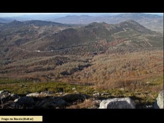 Fraga na Rousía (Baltar)
 