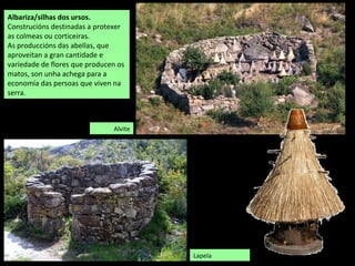 Albariza/silhas dos ursos.
Construcións destinadas a protexer
as colmeas ou corticeiras.
As produccións das abellas, que
aproveitan a gran cantidade e
variedade de flores que producen os
matos, son unha achega para a
economía das persoas que viven na
serra.
Alvite
Lapela
 