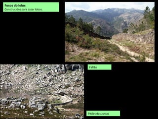 Foxos do lobo:
Construcións para cazar lobos.
Pitões das Junias
Fafião
 