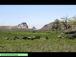 Curral da Rocalva (Portugal)
 