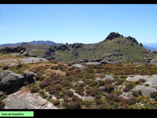 Coto da Fontefría
 