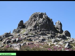 Coto da Fontefría
 
