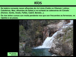 RÍOS
Na ladeira noroeste nacen afluentes do río Limia (Caldo co Vilameá; Lobios;
Cabaleiros, Mao, afluentes do Salas) e na surleste as cabeceiras do Cávado
(Homen, Gerês, Arado, Fafião, Cabril, Beredo...).
Os ríos teñen cursos con moita pendente nos que son frecuentes as fervenzas, os
rápidos e as pozas.
Río Homen
(Cávado)
 