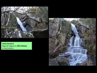 Fecha Carneira
Rego de Salgueiros (Río Salas)
A Cela (Lobios)
 