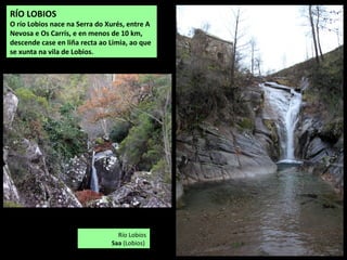 RÍO LOBIOS
O río Lobios nace na Serra do Xurés, entre A
Nevosa e Os Carrís, e en menos de 10 km,
descende case en liña recta ao Limia, ao que
se xunta na vila de Lobios.
Río Lobios
Saa (Lobios)
 