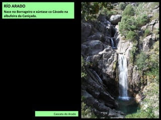 RÍO ARADO
Nace no Borrageiro e xúntase co Cávado na
albufeira da Caniçada.
Cascata do Arado
 