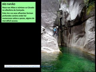 RÍO FAFIÃO
Nace nas Albas e xúntase co Cávado
na albufeira da Caniçada.
Este río e os seus afluentes forman
profundos canóns onde hai
numerosos saltos e pozas, algúns de
moi dificil acceso.
http://www.tic.udc.es/~nino/fotos/canones_portugal/fafiao/canon-fafiao-articulo.htm
 