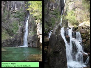 Cascata de Pincães
(nun pequeno rego afluente do Cávado)
 