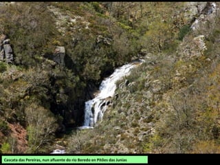 Cascata das Pereiras, nun afluente do río Beredo en Pitões das Junias
 