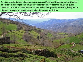 As súas características climáticas, xunto coas diferenzas litolóxicas, de altitude e
orientación, dan lugar a unha gran variedade de ecosistemas de gran riqueza
biolóxica: pradeiras de montaña, monte baixo, bosques de montaña, bosques de
ribeira... nos que podemos atopar algunhas especies únicas.
 