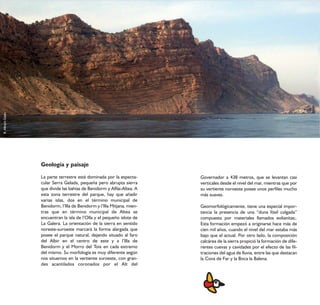 B. Albiach Galán




                   Geología y paisaje

                   La parte terrestre está dominada por la especta-       Governador a 438 metros, que se levantan casi
                   cular Serra Gelada, pequeña pero abrupta sierra        verticales desde el nivel del mar, mientras que por
                   que divide las bahías de Benidorm y Alfás-Altea. A     su vertiente noroeste posee unos perfiles mucho
                   esta zona terrestre del parque, hay que añadir         más suaves.
                   varias islas, dos en el término municipal de
                   Benidorm, l’Illa de Benidorm y l’Illa Mitjana, mien-   Geomorfológicamente, tiene una especial impor-
                   tras que en término municipal de Altea se              tancia la presencia de una “duna fósil colgada”
                   encuentran la isla de l’Olla y el pequeño islote de    compuesta por materiales llamados eolianitas;.
                   La Galera. La orientación de la sierra en sentido      Esta formación empezó a originarse hace más de
                   noreste-suroeste marcará la forma alargada que         cien mil años, cuando el nivel del mar estaba más
                   posee el parque natural, dejando situado al faro       bajo que el actual. Por otro lado, la composición
                   del Albir en el centro de este y a l’Illa de           calcárea de la sierra propició la formación de dife-
                   Benidorm y el Morro del Toix en cada extremo           rentes cuevas y cavidades por el efecto de las fil-
                   del mismo. Su morfología es muy diferente según        traciones del agua de lluvia, entre las que destacan
                   nos situemos en la vertiente suroeste, con gran-       la Cova de Far y la Boca la Balena.
                   des acantilados coronados por el Alt del
 