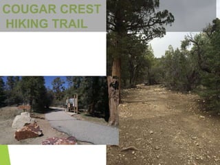COUGAR CREST
HIKING TRAIL
 