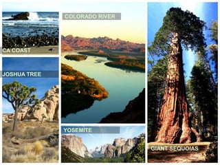 CA COAST
JOSHUA TREE
COLORADO RIVER
YOSEMITE
GIANT SEQUOIAS
 