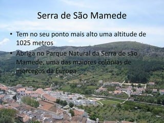 Serra de São Mamede
• Tem no seu ponto mais alto uma altitude de
1025 metros
• Abriga no Parque Natural da Serra de são
Mamede, uma das maiores colónias de
morcegos da Europa