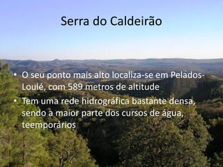 Serra do Caldeirão
• O seu ponto mais alto localiza-se em Pelados-
Loulé, com 589 metros de altitude
• Tem uma rede hidrográfica bastante densa,
sendo a maior parte dos cursos de água,
teemporários