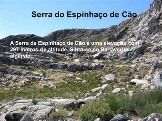 Serra do Espinhaço de CãoSerra do Espinhaço de Cão
A Serra de Espinhaço de Cão é uma elevação com
297 metros de altitude. Situa-se no Barlavento
algarvio,.
 