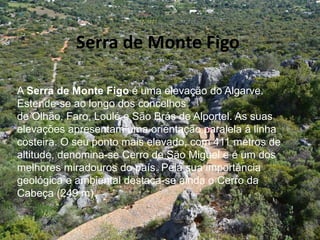 A Serra de Monte Figo é uma elevação do Algarve.
Estende-se ao longo dos concelhos
de Olhão, Faro, Loulé e São Brás de Alportel. As suas
elevações apresentam uma orientação paralela à linha
costeira. O seu ponto mais elevado, com 411 metros de
altitude, denomina-se Cerro de São Miguel e é um dos
melhores miradouros do país. Pela sua importância
geológica e ambiental destaca-se ainda o Cerro da
Cabeça (249 m).
Serra de Monte Figo
 