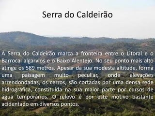 Serra do Caldeirão
A Serra do Caldeirão marca a fronteira entre o Litoral e o
Barrocal algarvios e o Baixo Alentejo. No seu ponto mais alto
atinge os 589 metros. Apesar da sua modesta altitude, forma
uma paisagem muito peculiar, onde elevações
arrendondadas, os cerros, são cortadas por uma densa rede
hidrográfica, constituída na sua maior parte por cursos de
água temporários. O relevo é por este motivo bastante
acidentado em diversos pontos.
 
