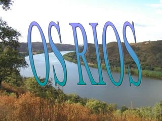 OS RIOS 
