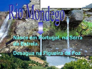 Nasce em Portugal, na Serra da Estrela. Desagua na Figueira da Foz Rio Mondego 