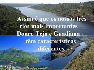 Assim é que os nossos três rios mais importantes – Douro Tejo e Guadiana -  têm características diferentes 