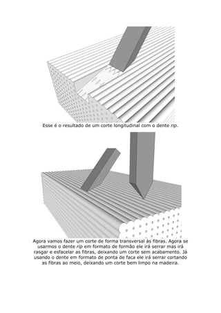 Esse é o resultado de um corte longitudinal com o dente rip.
Agora vamos fazer um corte de forma transversal às fibras. Agora se
usarmos o dente rip em formato de formão ele irá serrar mas irá
rasgar e esfacelar as fibras, deixando um corte sem acabamento. Já
usando o dente em formato de ponta de faca ele irá serrar cortando
as fibras ao meio, deixando um corte bem limpo na madeira.
 