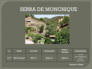 SERRA DE MONCHIQUE Vanessa e Tânia Cl. NOME ALTITUDE LOCALIZAÇÃO CIDADE + PRÓXIMA CURIOSIDADES 12.º Monchique 902 m Algarve Aljezur - Termas - Maior Magnólia da Europa - Solos Férteis 
