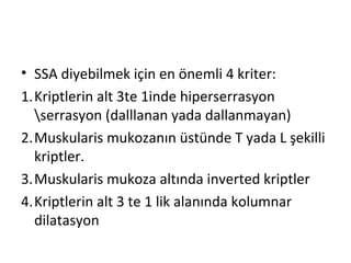 • SSA diyebilmek için en önemli 4 kriter:
1.Kriptlerin alt 3te 1inde hiperserrasyon
serrasyon (dalllanan yada dallanmayan)
2.Muskularis mukozanın üstünde T yada L şekilli
kriptler.
3.Muskularis mukoza altında inverted kriptler
4.Kriptlerin alt 3 te 1 lik alanında kolumnar
dilatasyon
 