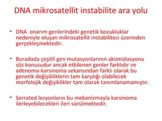 DNA mikrosatellit instabilite ara yolu
• DNA onarım genlerindeki genetik bozukluklar
nedeniyle oluşan mikrosatellit instabilitesi üzerinden
gerçekleşmektedir.
• Buradada çeşitli gen mutasyonlarının akümülasyonu
söz konusudur ancak etkilenen genler farklıdır ve
adenoma-karsinoma sekansından farklı olarak bu
genetik değişikliklerin tam karşılığı olabilecek
morfolojik değişiklikler tam olarak tanımlanamamıştır.
• Serrated lezyonların bu mekanizmayla karsinoma
ilerleyebilecekleri ileri sürülmektedir.
 