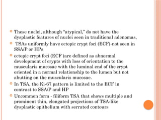 serrated lesion of colon and rectum-1.pptx