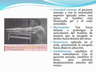  Gravedad mínima: el paciente
sentado y con la extremidad
superior apoyada sobre una
mesa; el hombro está
flexionado 90° y el codo
extendido.
 Movimiento: Tire hacia
delante o prolongue la
articulación del hombro de
manera que la escapula se
deslice hacia delante del tórax.
 Resistencia: aplicada en el
codo, presionando la escapula
hacia abajo en aducción.
 Estabilización: estabilice el
tórax contralateral. Con el
paciente sentado, estabilice el
tórax para prevenir
desplazamiento anterior del
tronco
 