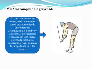 M2: Arco completo sin gravedad.
En una polea o con un
tensor, realizar empujes
con el brazo, moviendo
únicamente la
articulación del hombro y
la escápula. Este ejercicio
se realiza sin una fuerza
externa (pesas), está
suspendido. Aquí se adosa
la escapula a la parrilla
costal.
 