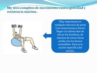 M5 arco completo de movimiento contra gravedad y
resistencia máxima .
Muy importante en
cualquier ejercicio de press
(con mancuernas o barra)
llegar a la ultima fase de
elevar los hombros, de
intentar de crecer hacia
arriba con los brazos
extendidos. Esta es la
acción específica del
serrato.
 