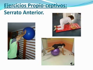 Ejercicios Propio-ceptivos:
Serrato Anterior.
 