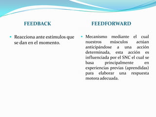FEEDBACK FEEDFORWARD
 Reacciona ante estímulos que
se dan en el momento.
 Mecanismo mediante el cual
nuestros músculos actúan
anticipándose a una acción
determinada, esta acción es
influenciada por el SNC el cual se
basa principalmente en
experiencias previas (aprendidas)
para elaborar una respuesta
motora adecuada.
 