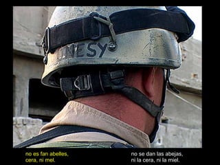 no se dan las abejas, ni la cera, ni la miel. no es fan abelles, cera, ni mel. 