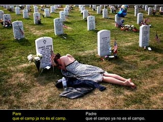 Padre que el campo ya no es el campo. Pare que el camp ja no és el camp. 