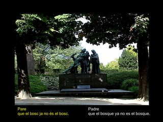 Padre que el bosque ya no es el bosque. Pare que el bosc ja no és el bosc. 
