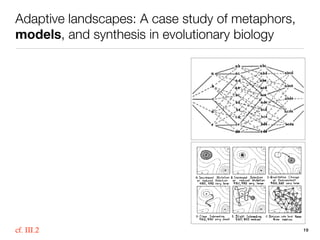 Adaptive Landscape Examples Adaptive landscapes: A case study of metaphors, models, and synthesis ...