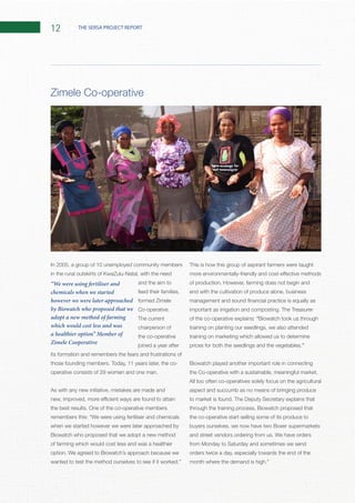 12 THE SERSA PROJECT REPORT
In 2005, a group of 10 unemployed community members
and the aim to
feed their families,
The current
chairperson of
the co-operative
joined a year after
its formation and remembers the fears and frustrations of
As with any new initiative, mistakes are made and
when we started however we were later approached by
Biowatch who proposed that we adopt a new method
of farming which would cost less and was a healthier
This is how this group of aspirant farmers were taught
end with the cultivation of produce alone, business
of the co-operative explains: “Biowatch took us through
training on planting our seedlings, we also attended
training on marketing which allowed us to determine
prices for both the seedlings and the vegetables.”
Biowatch played another important role in connecting
All too often co-operatives solely focus on the agricultural
aspect and succumb as no means of bringing produce
through the training process, Biowatch proposed that
the co-operative start selling some of its produce to
buyers ourselves, we now have two Boxer supermarkets
orders twice a day, especially towards the end of the
“We were using fertiliser and
chemicals when we started
however we were later approached
by Biowatch who proposed that we
adopt a new method of farming
which would cost less and was
a healthier option” Member of
Zimele Cooperative
 