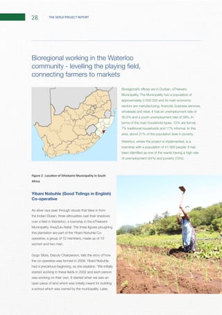 28 THE SERSA PROJECT REPORT
Yibani Nobuhle (Good Tidings in English)
Co-operative
As silver rays peer through clouds that blew in from
the Indian Ocean, three silhouettes cast their shadows
this plantation are part of the Yibani Nobuhle Co-
operative, a group of 12 members, made up of 10
Gogo Sibisi, Deputy Chairperson, tells the story of how
open piece of land which was initially meant for building
Bioregional working in the Waterloo
connecting farmers to markets
approximately 3 500 000 and its main economic
terms of the main household types, 72% are formal,
Waterloo, where the project is implemented, is a
 